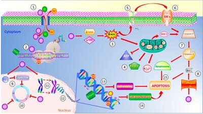 Thallium-induced DNA damage, genetic, and epigenetic alterations